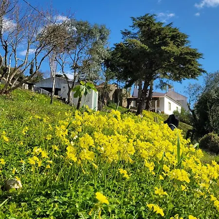 Alojamento de Acomodação e Pequeno-almoço House Of Moitelas