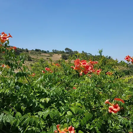 House Of Alojamento de Acomodação e Pequeno-almoço 4*