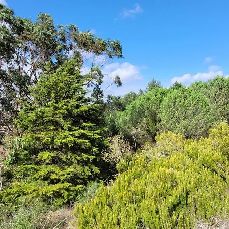 House Of Alojamento de Acomodação e Pequeno-almoço 4*