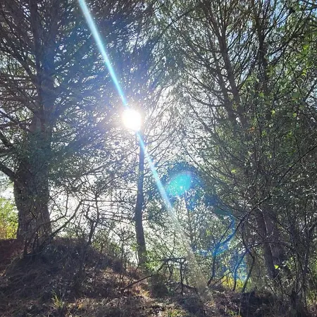 Alojamento de Acomodação e Pequeno-almoço House Of Moitelas