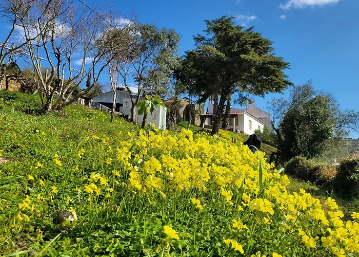 B&B House Of Moitelas