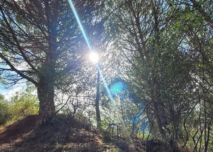 B&B House Of Moitelas